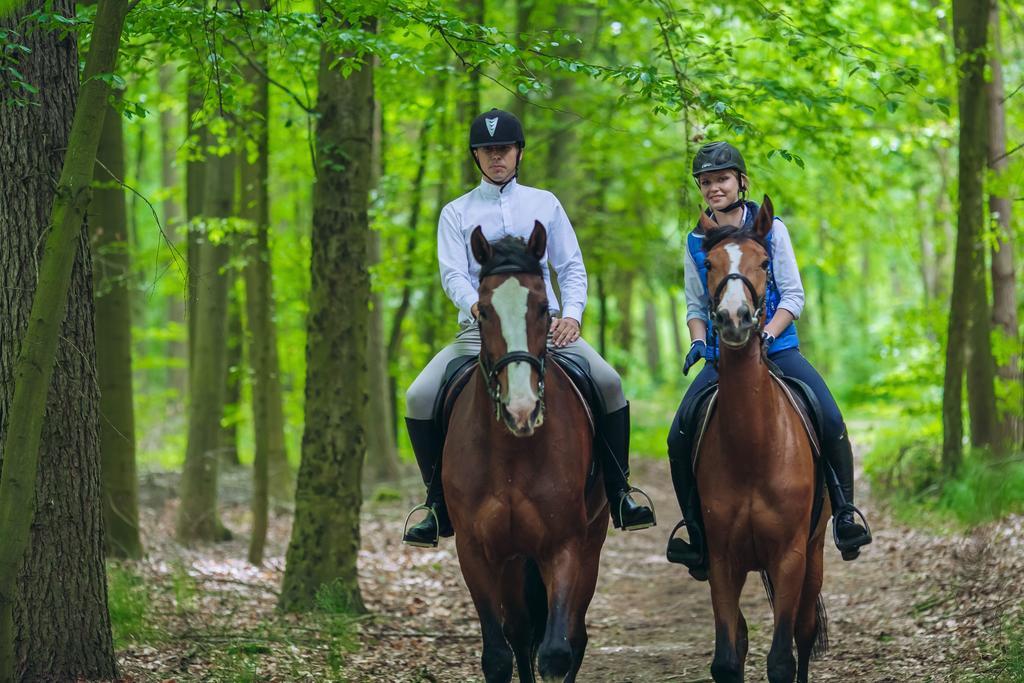 Hubertus Aparthotel & Restaurant & Horse Club Starogard Gdański Camera foto